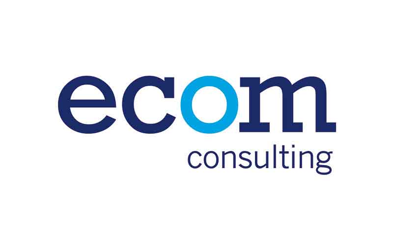 Ecom Consulting